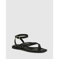 Read Wittner Reviews